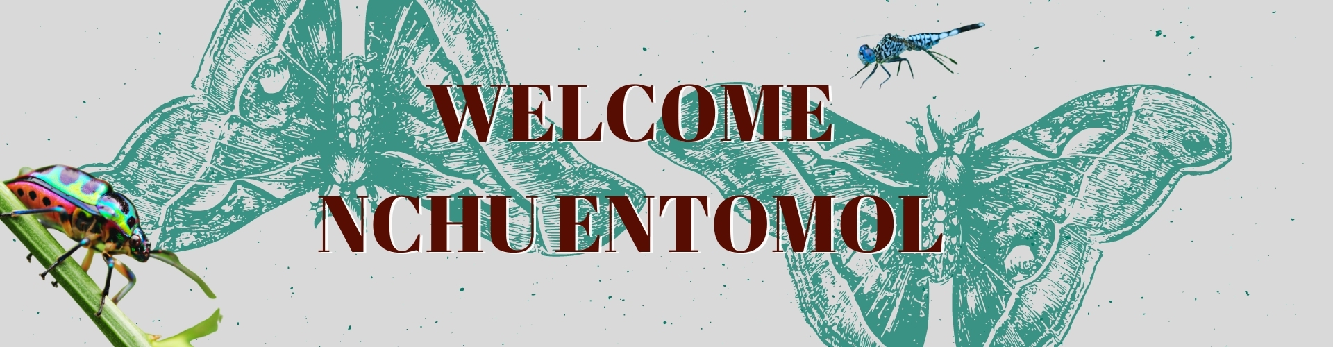 國立中興大學昆蟲學系-nchuentomol-banner